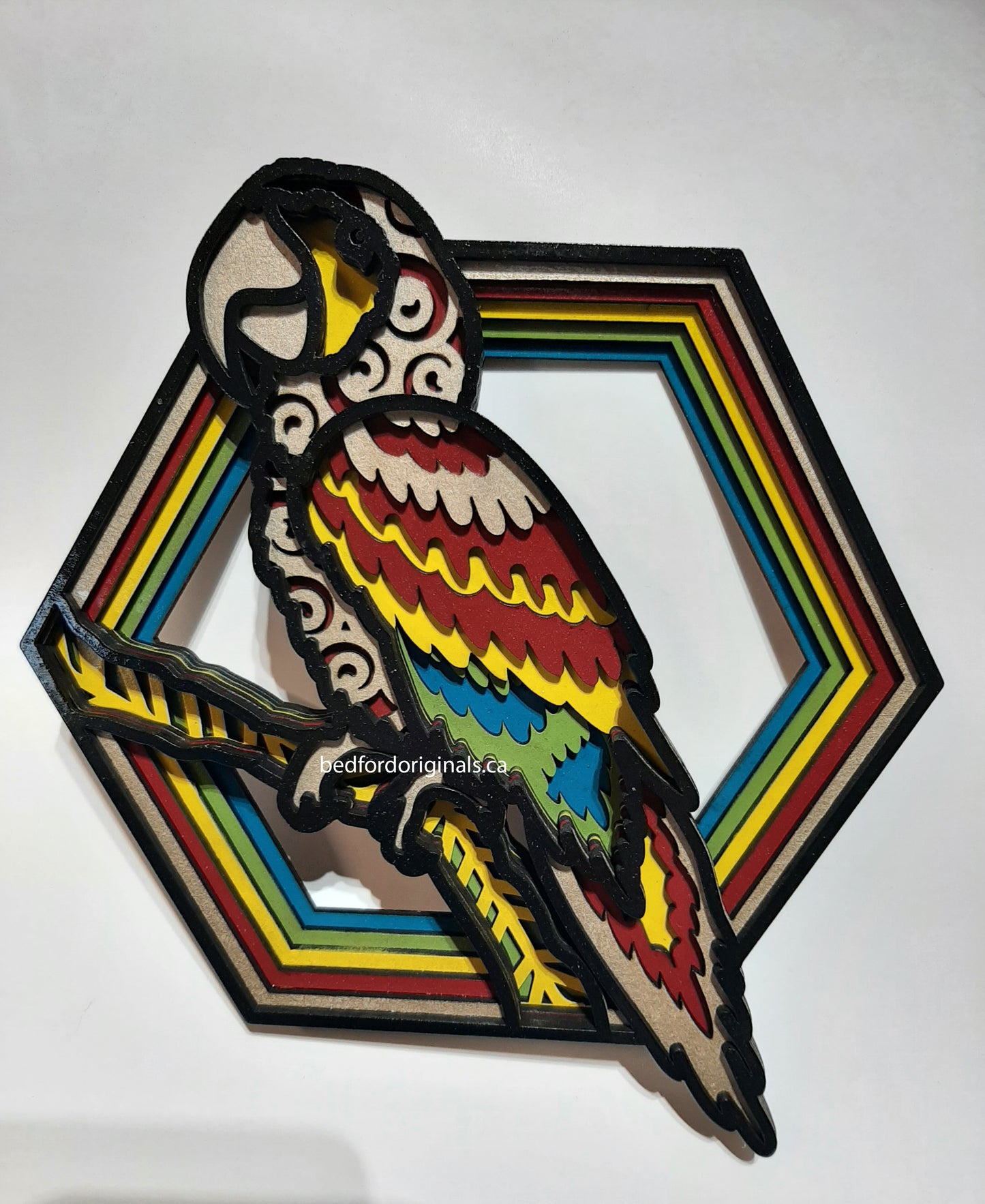 3D Wall Art - Macaw Parrot