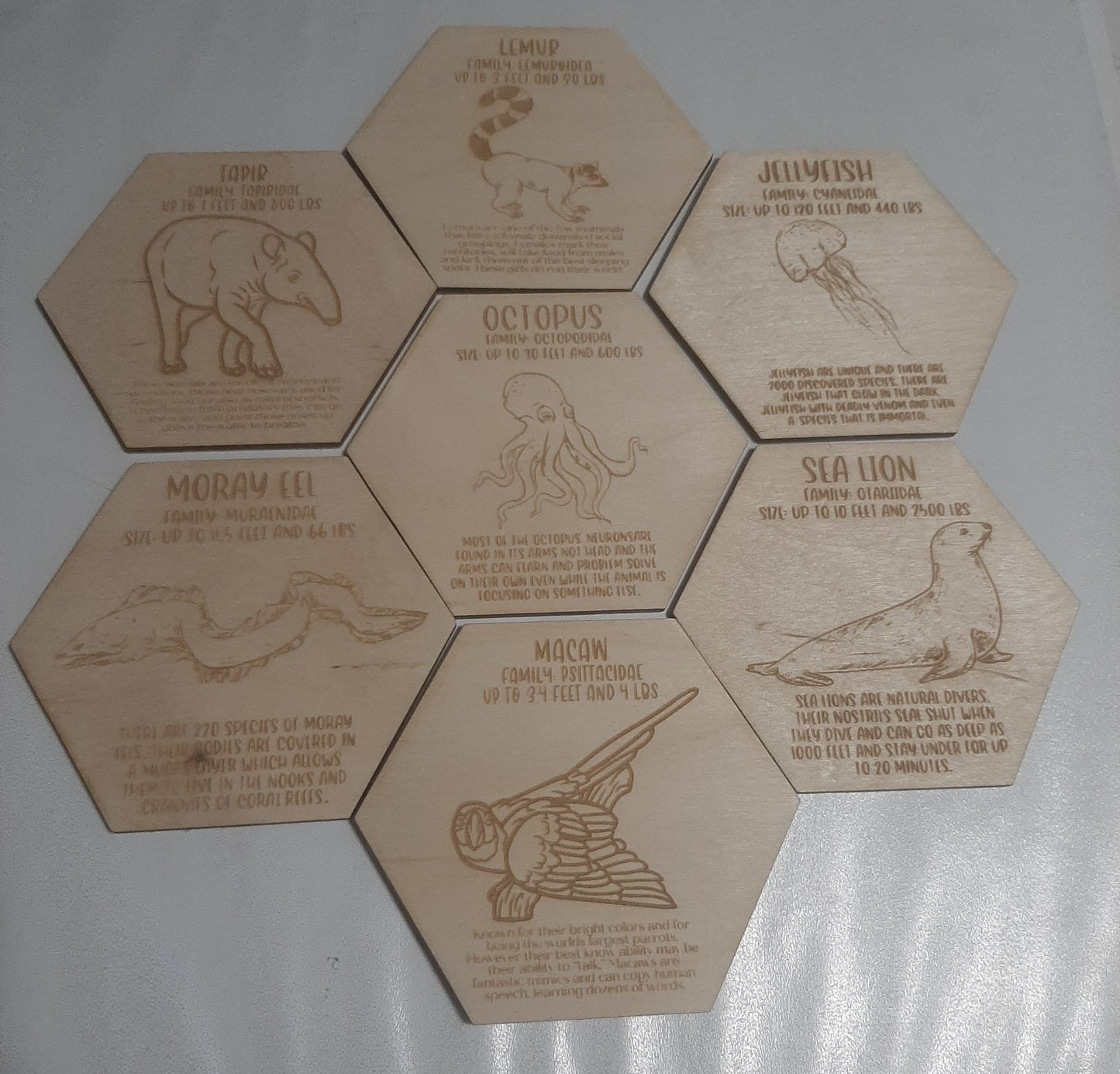 Animal Fact Tokens