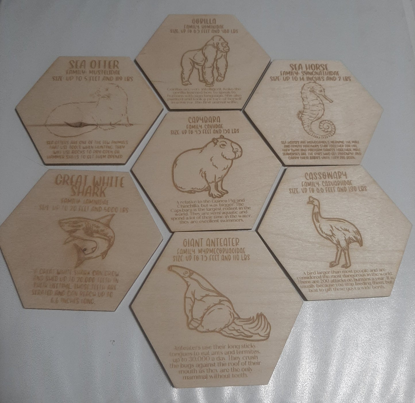 Animal Fact Tokens
