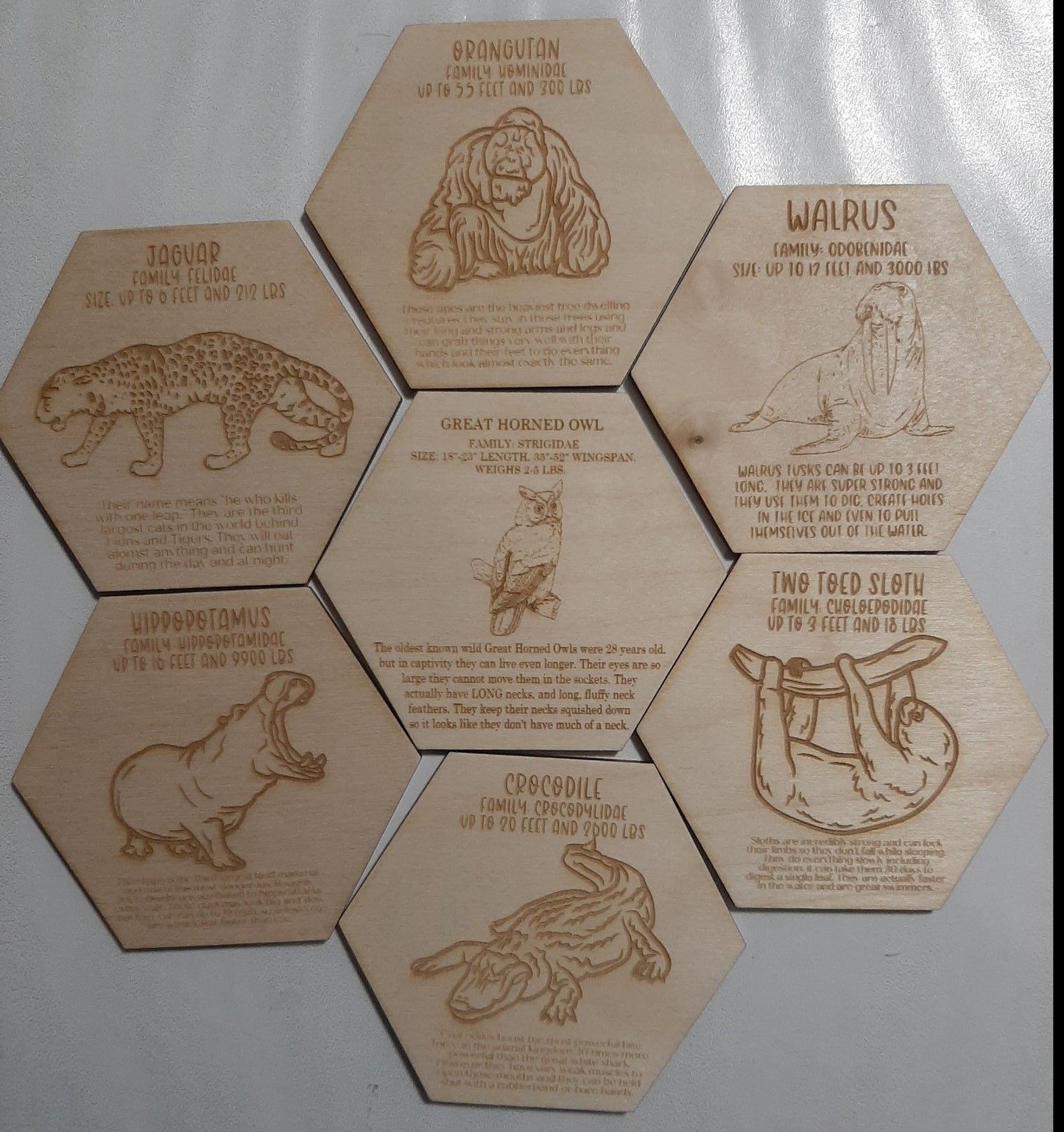 Animal Fact Tokens